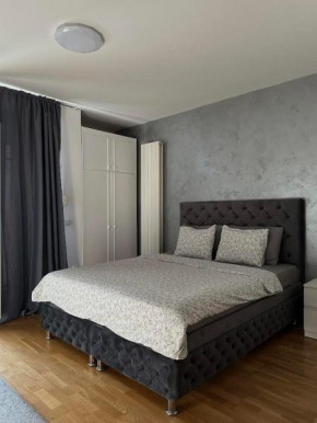 Apartman Tara1